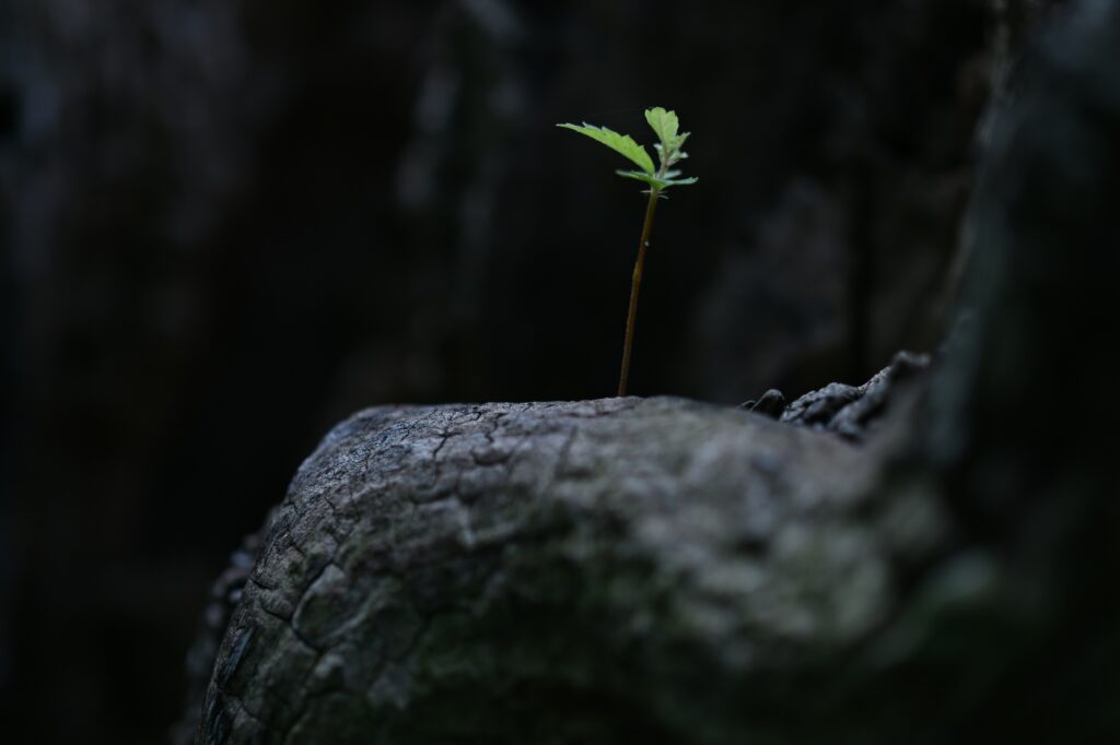 Is It Time to Update Your Will in Singapore? | LP Law Corporation